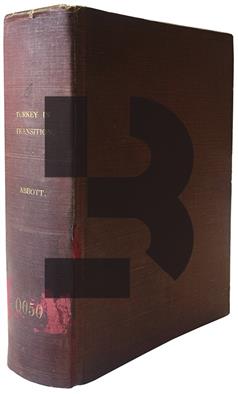 Turkey in Transition